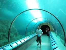 澎湖水族館海底隧道